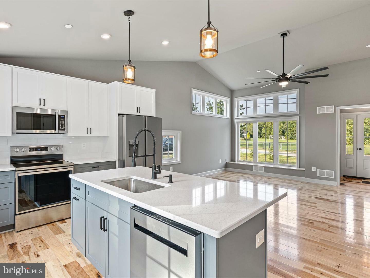 Property Photo: 479 Baltimore Street MD 21914