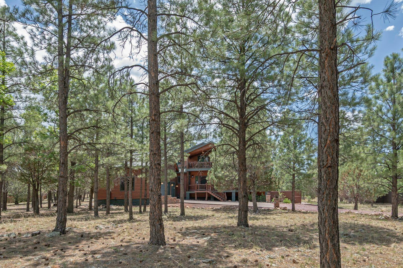 Property Photo: 4218 Stargazer Drive AZ 86024