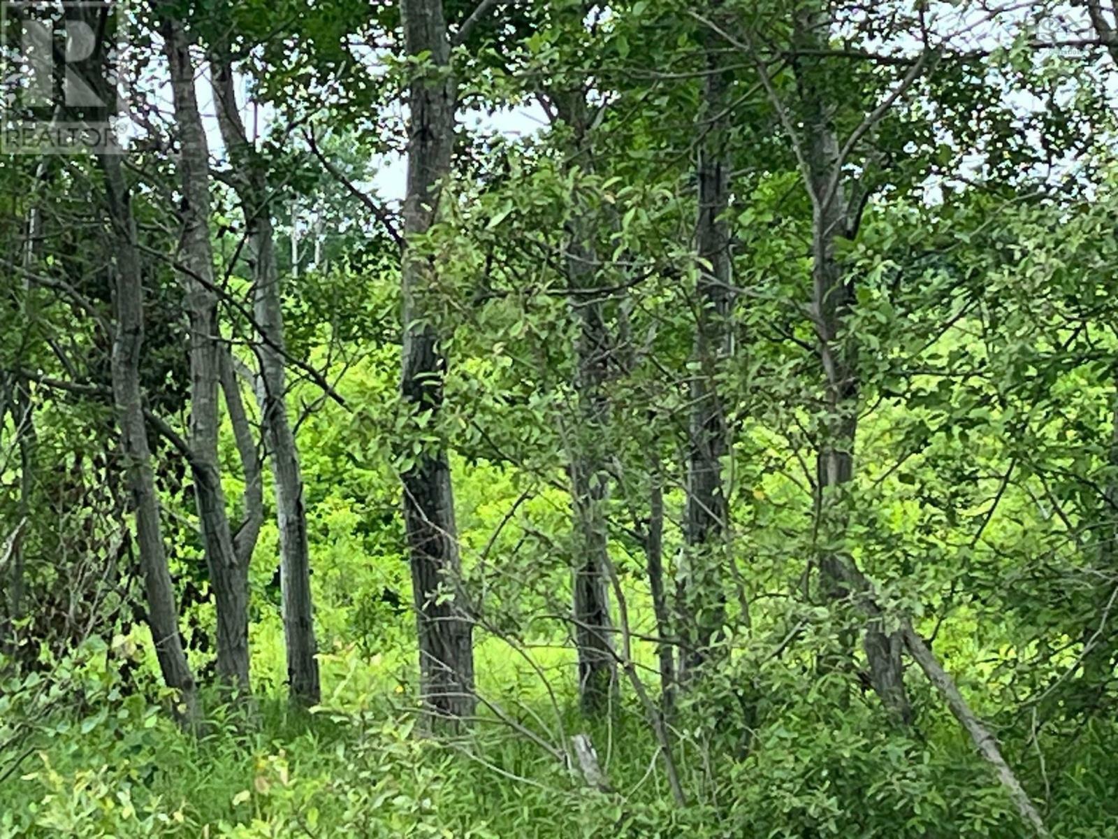 Photo de la propriété: Upper Road NS B0M 1G0