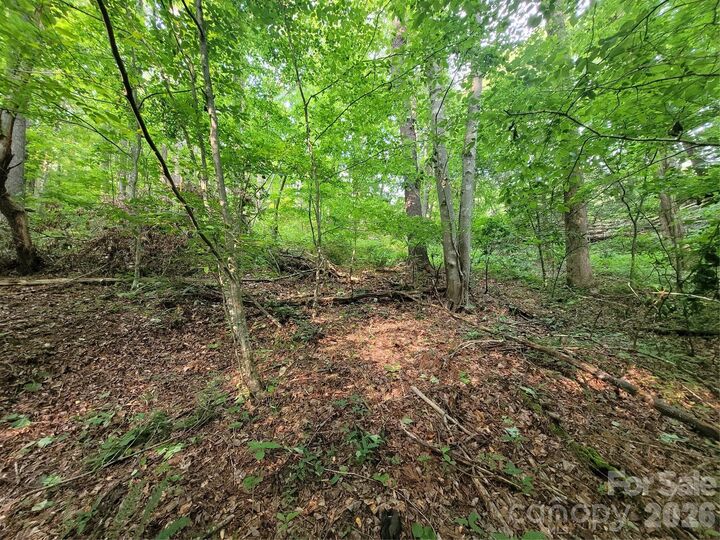 Property Photo:  00 Serendipity Lane 111  NC 28785 