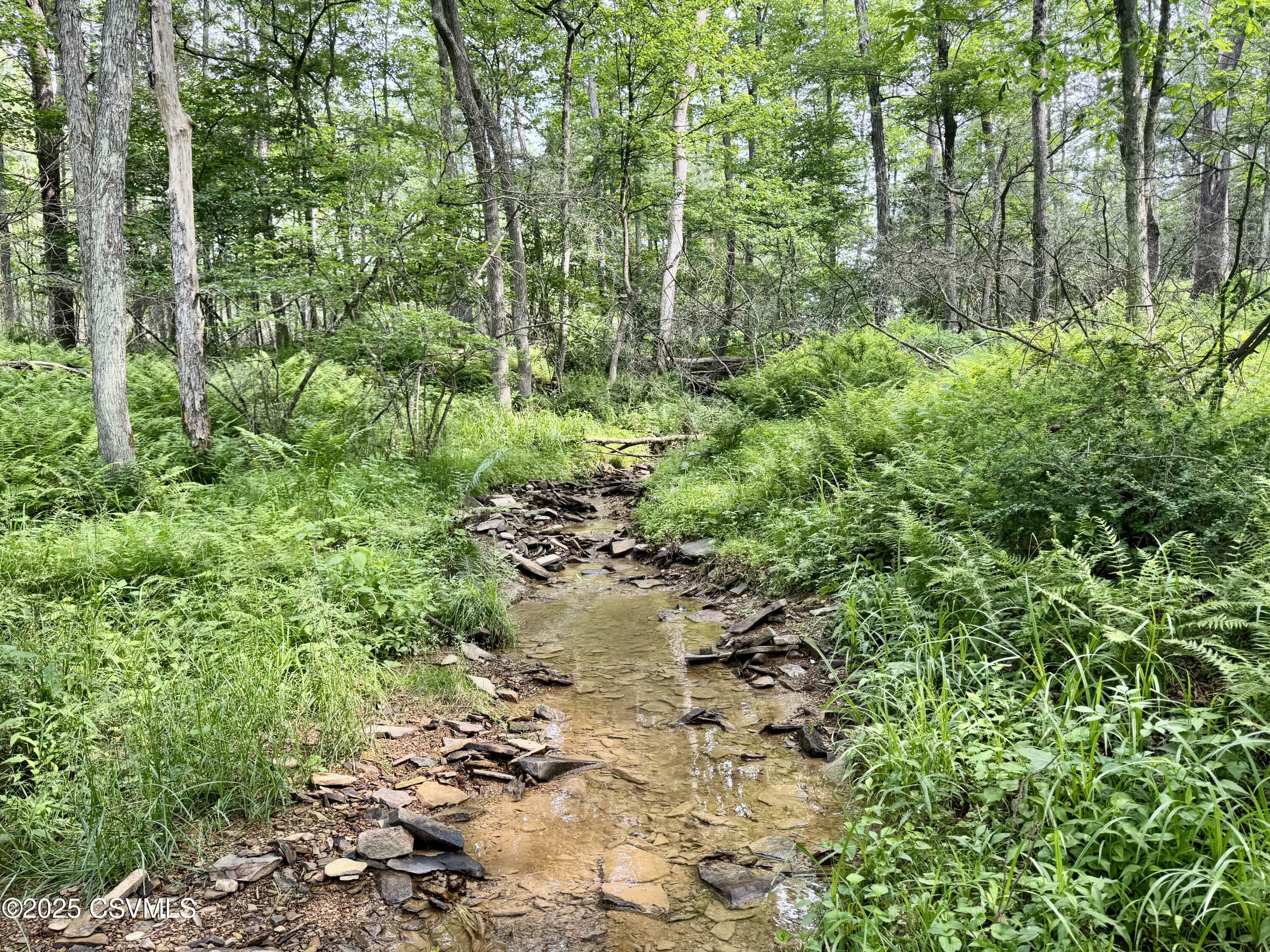 Property Photo: Hollow Road PA 17846