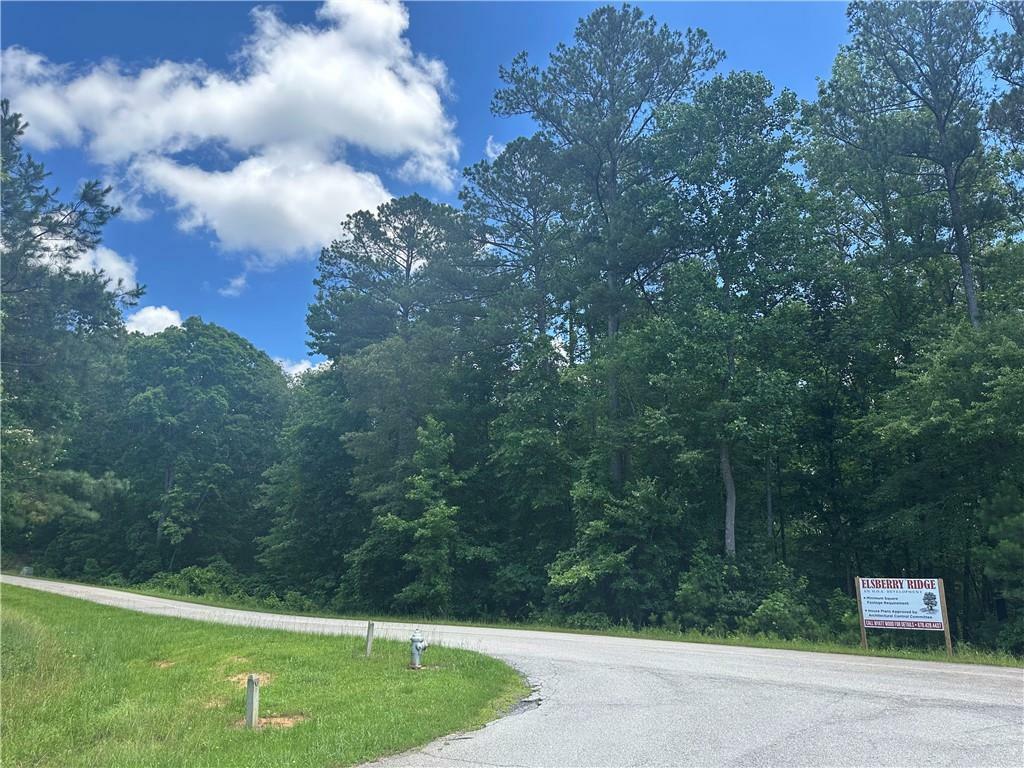 Property Photo: 0 Elsberry Mountain Road GA 30132