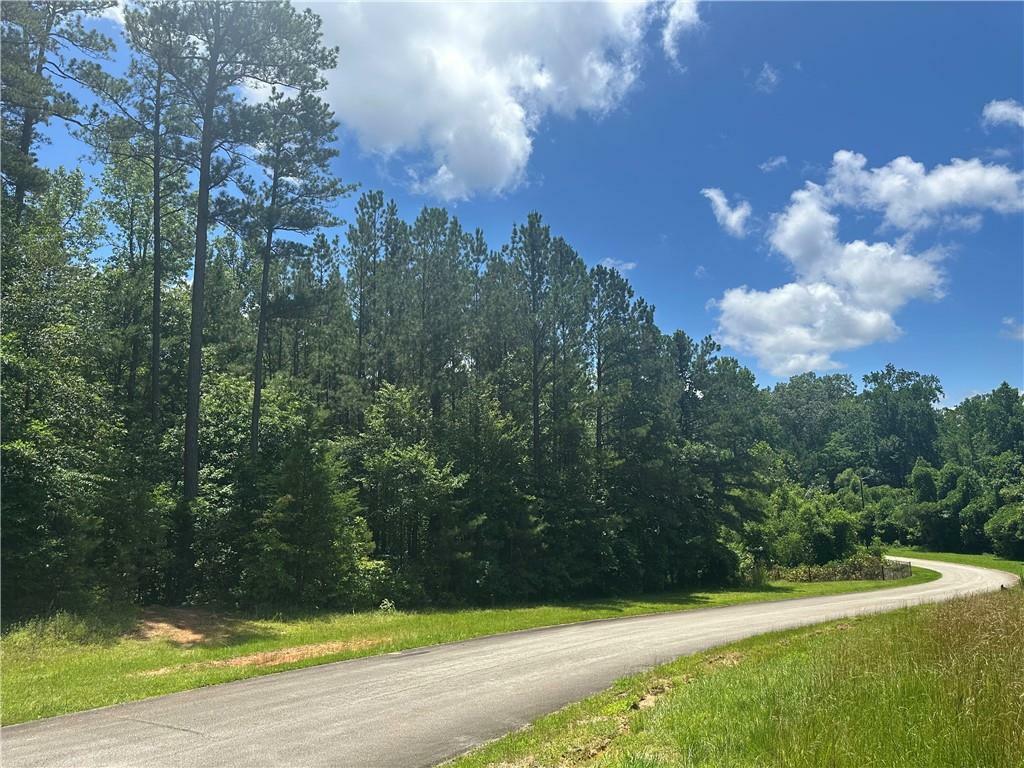 Property Photo: 0 Elsberry Mountain Road GA 30132