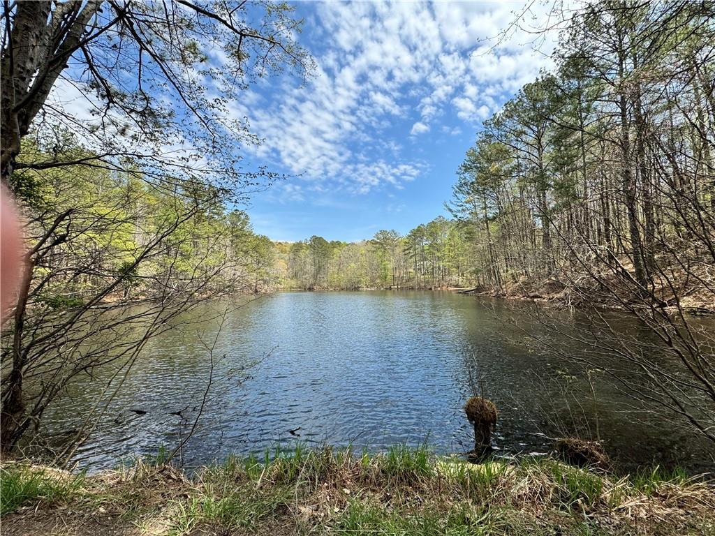 Property Photo: 3 Meadowlands GA 30175