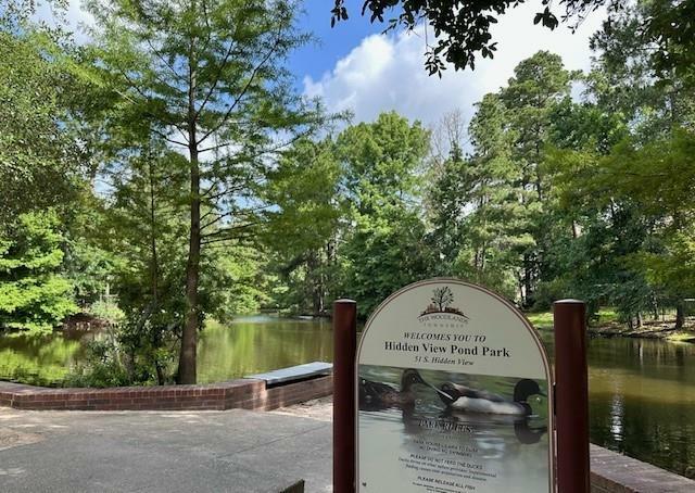 Property Photo:  15 Nightwind Place  TX 77381 