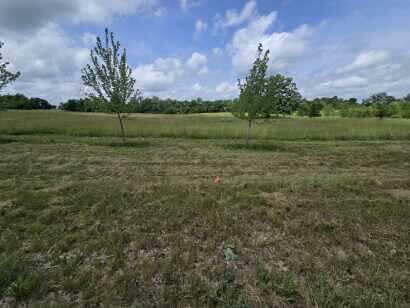 Property Photo: 0 Walkowe Lane MI 48158