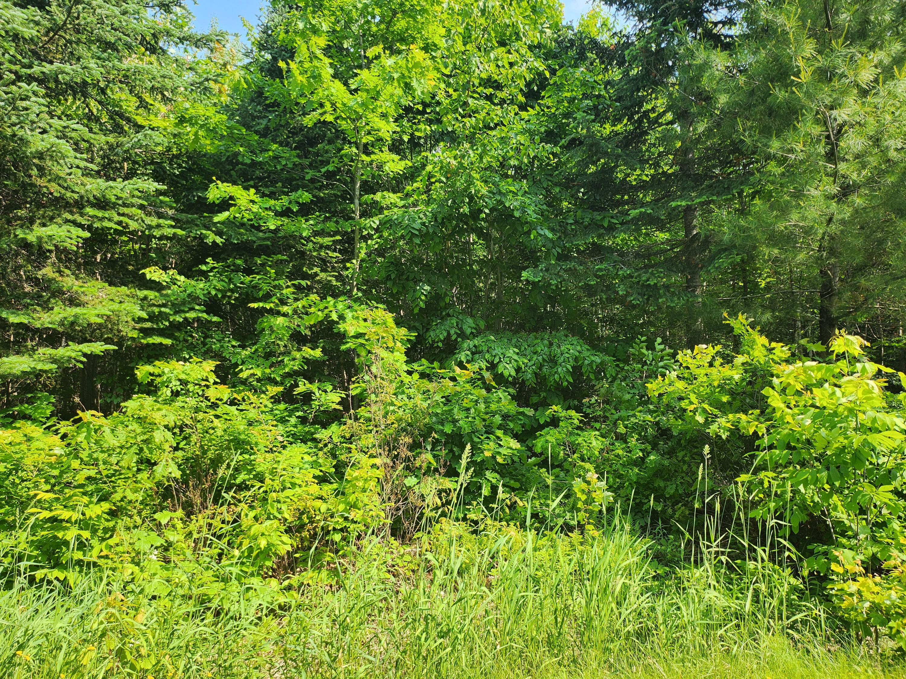 Property Photo: Lot 29B Windfall Lane ME 04965