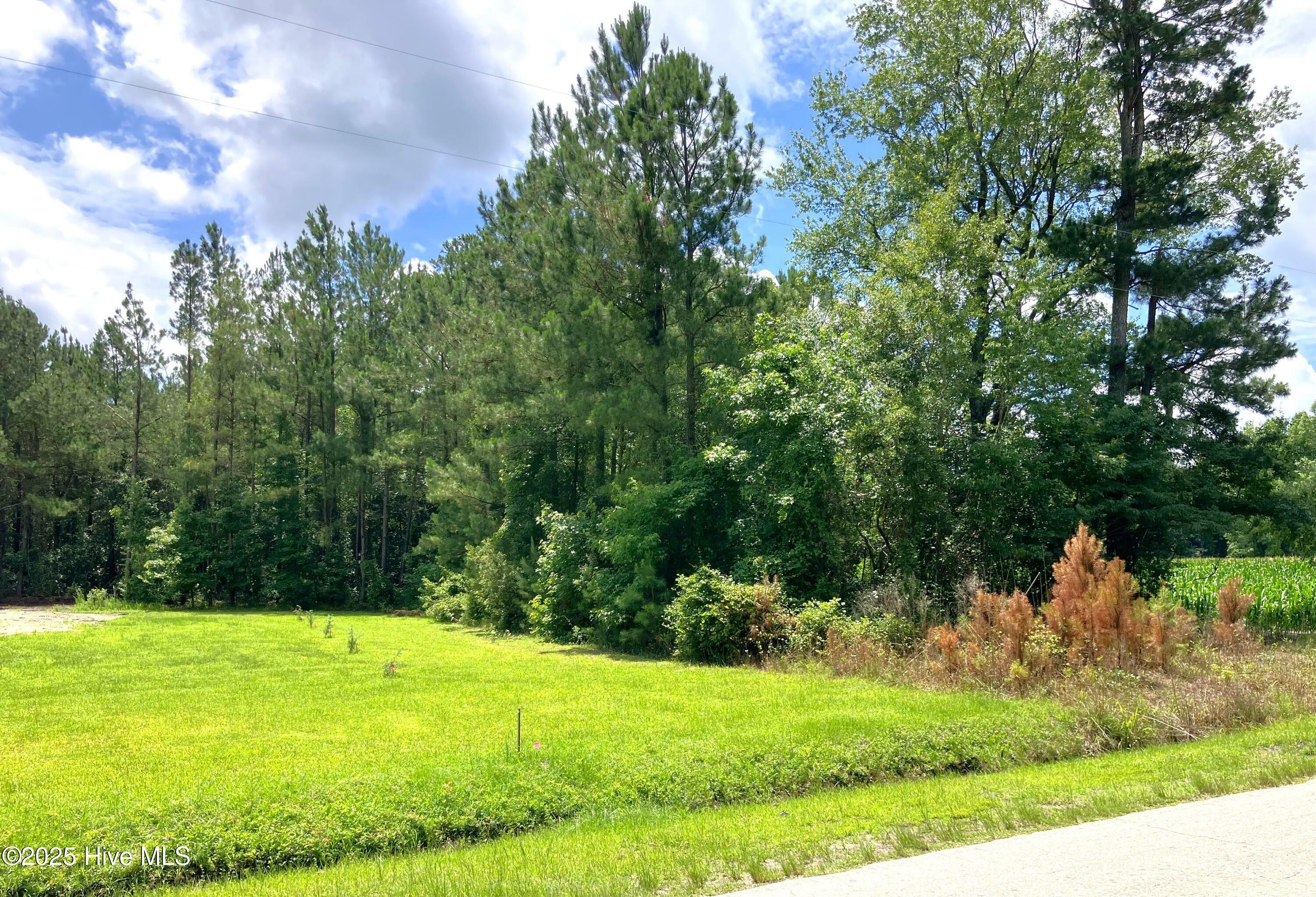 Property Photo: 294 Springhill Road NC 28555