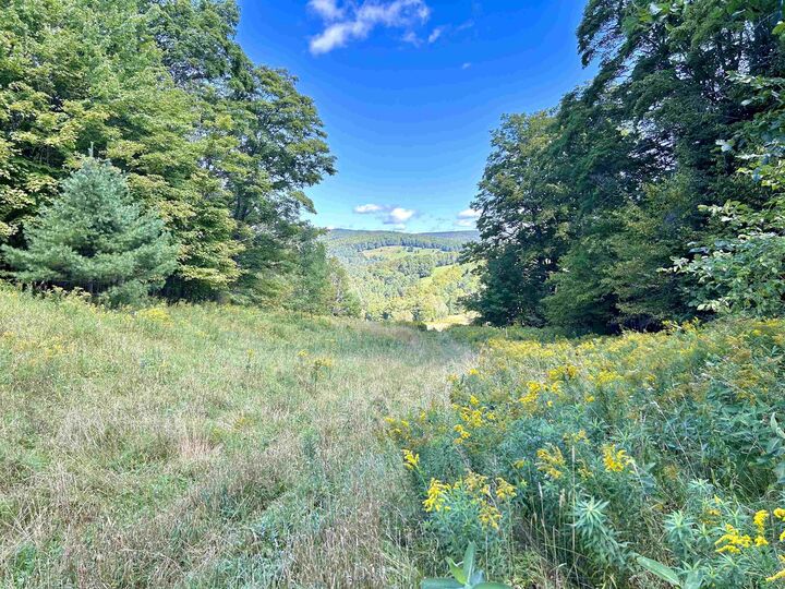 Property Photo:  00 Corinth Road  VT 05038 