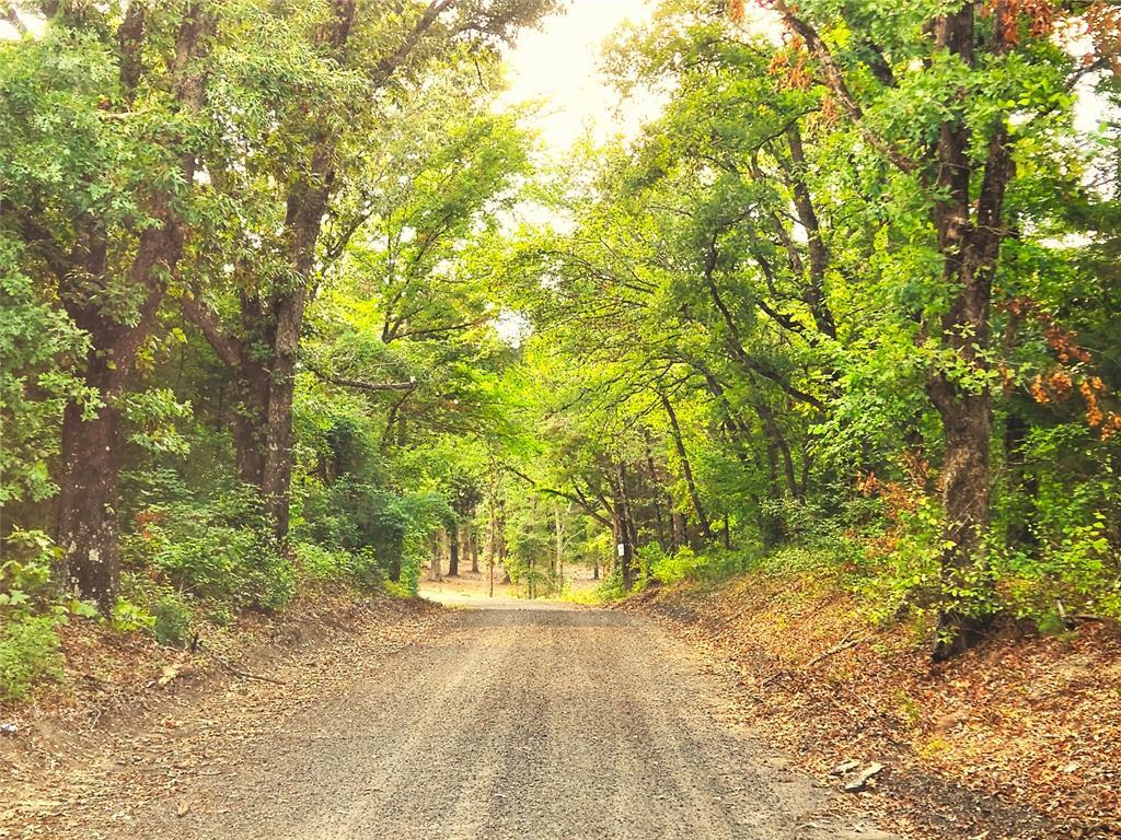 Property Photo: Lot 465 Cr-4710 TX 75770