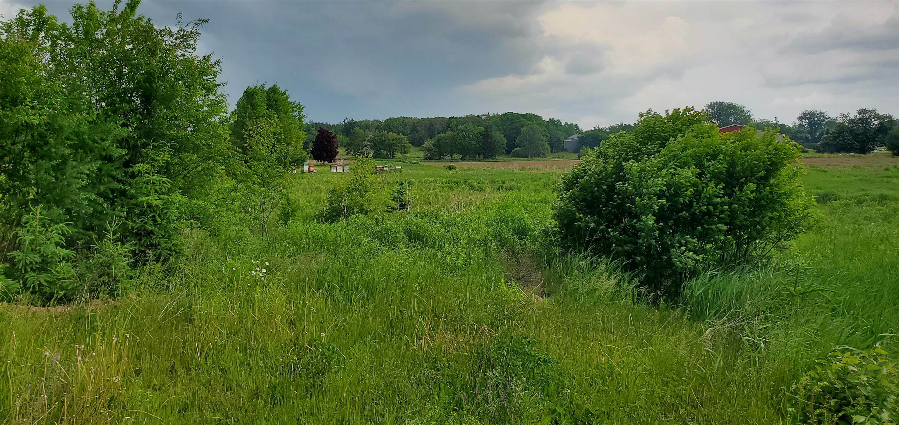 Photo de la propriété:  Lot French Creek Road  PE C0A 1R0 