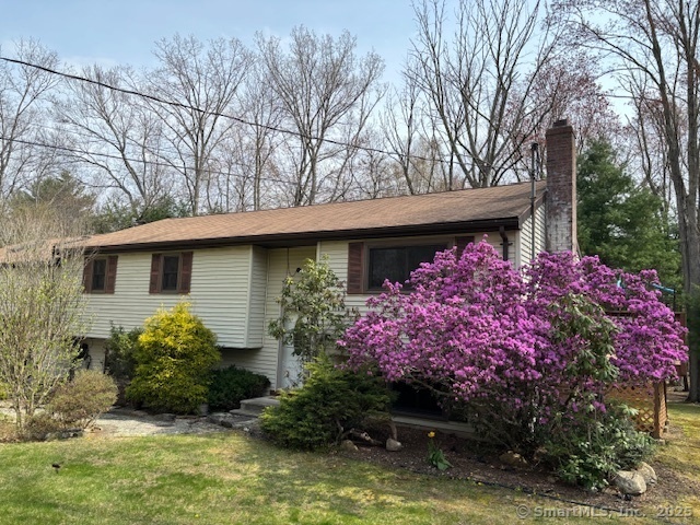 Property Photo:  56 Cedar Swamp Road  CT 06268 