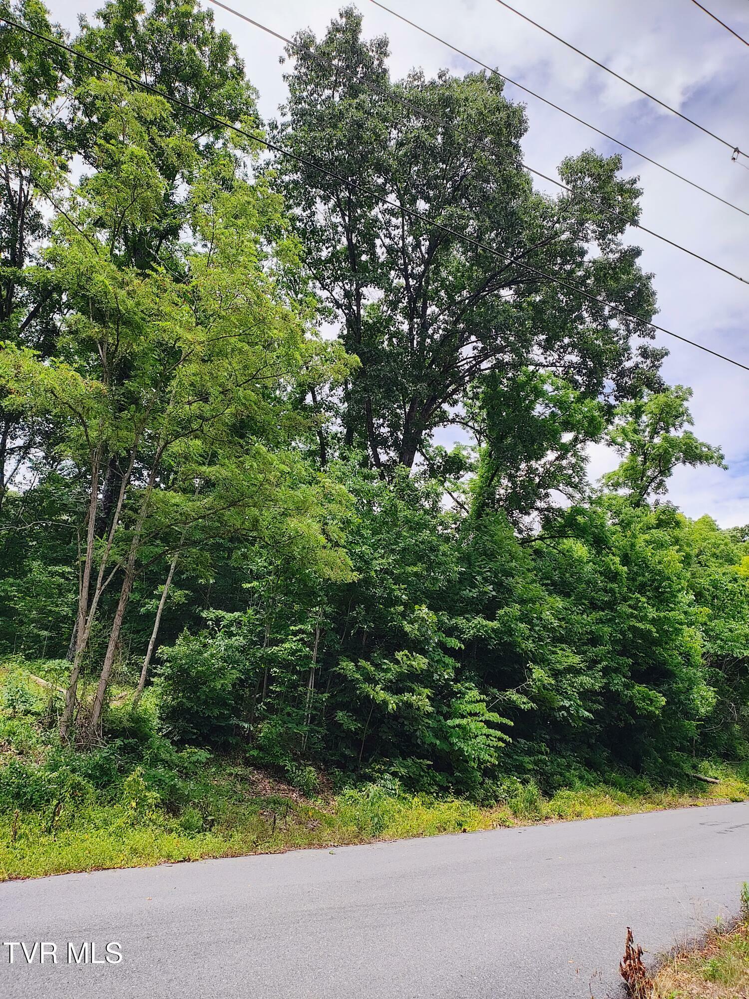 Property Photo: Lot 5 Pond Springs W Road TN 37664