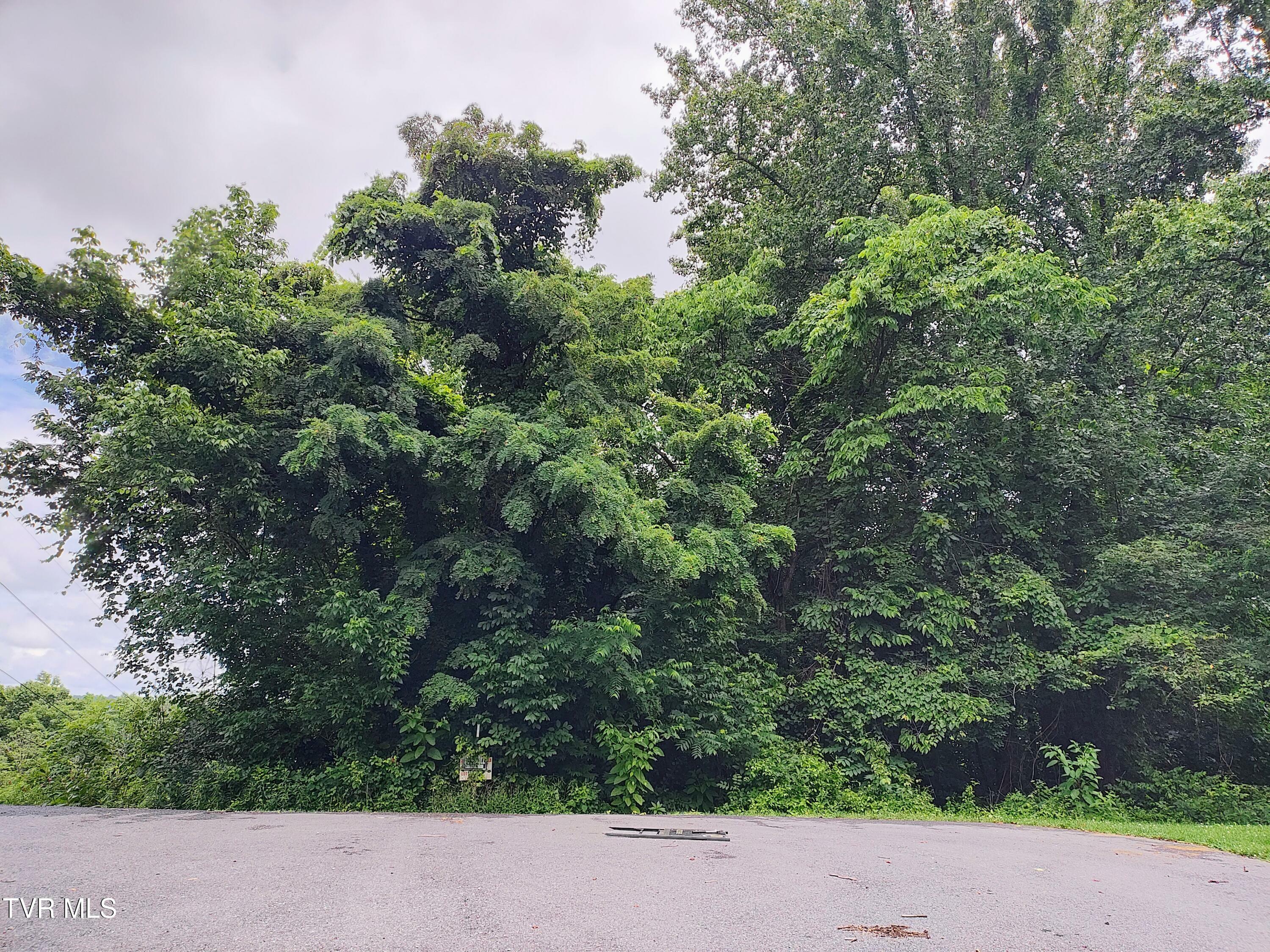 Property Photo: Lot 51 Raven Circle TN 37664