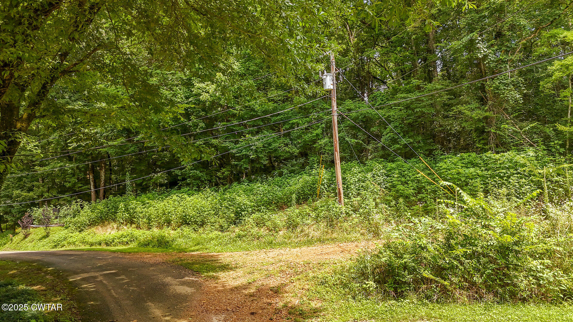 Property Photo: Lot 35 Salt Lane TN 38372