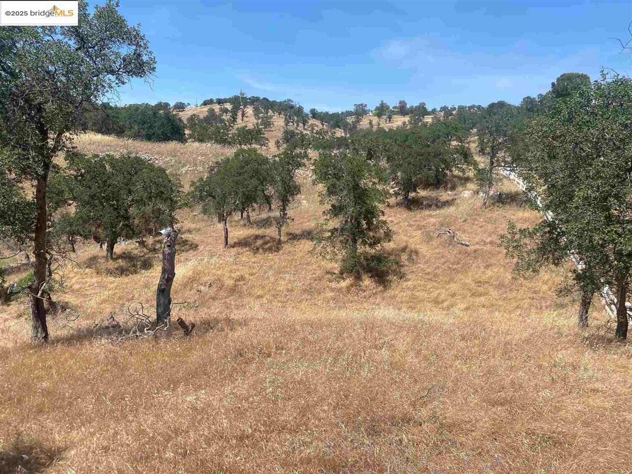 Property Photo: 9787 Alamo Drive CA 95329