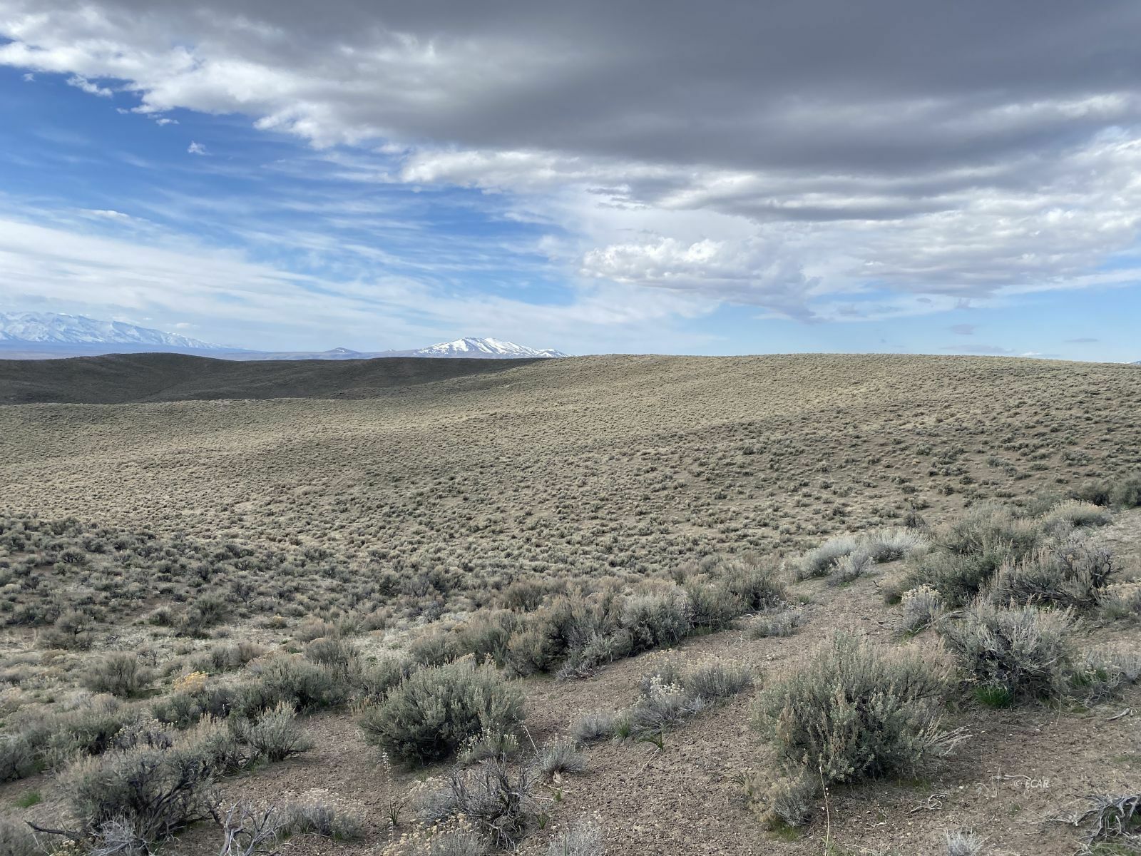 Property Photo:  075-006-073 Sec19 Twp36n Rge69e  NV 89830 