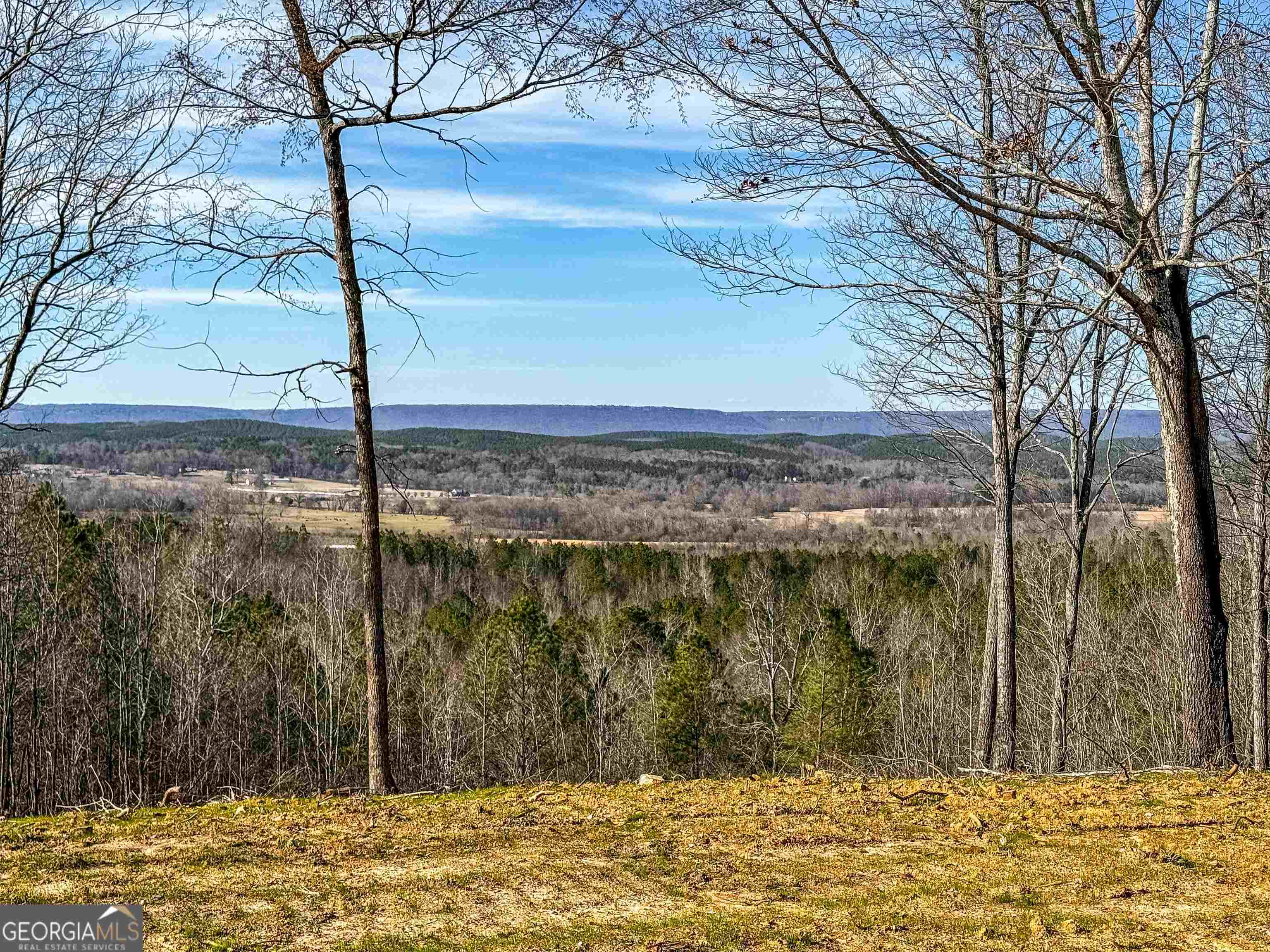 Property Photo:  0 Back Berryton Road  GA 30747 