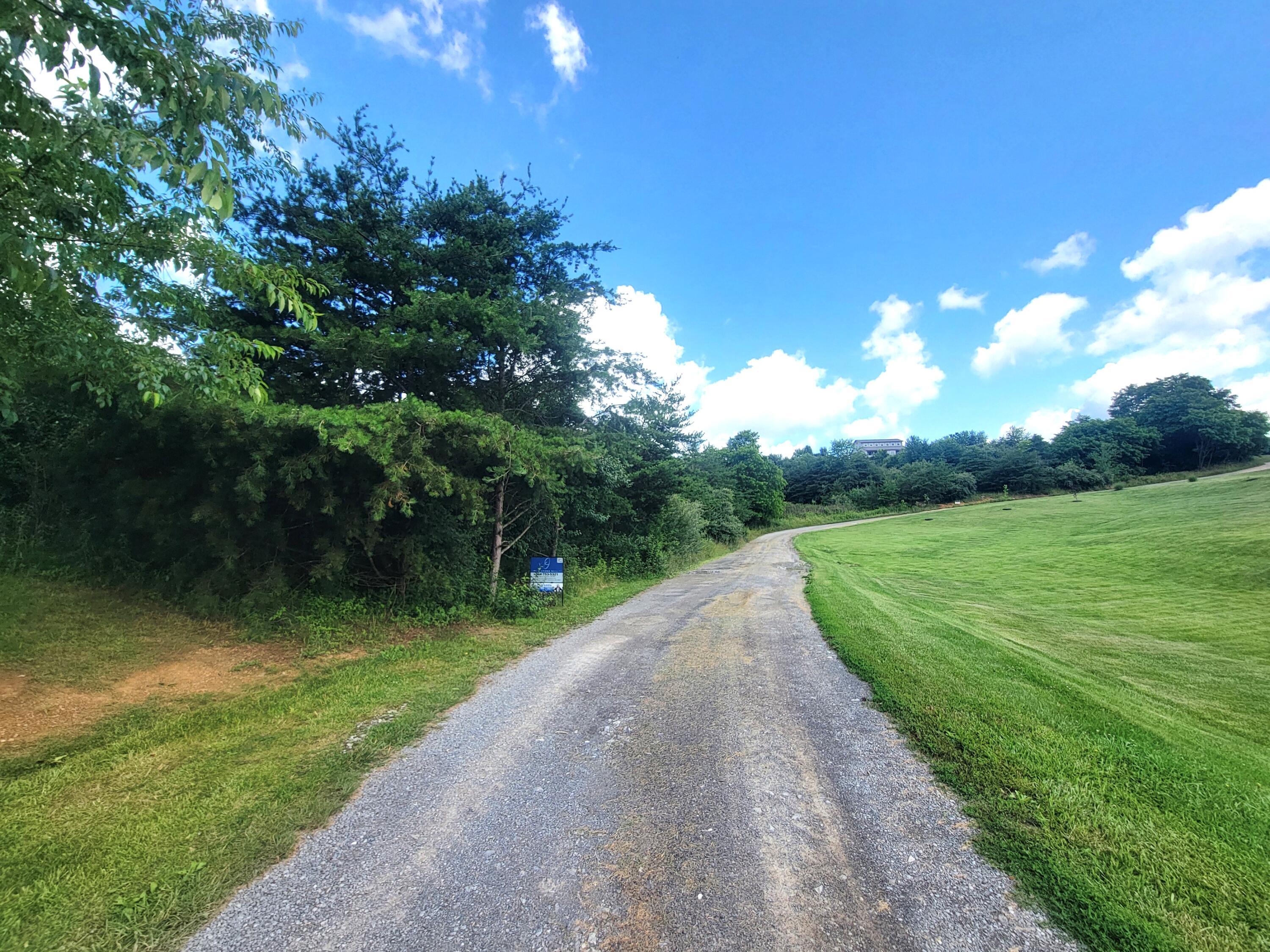 Property Photo: Lot 10 Meadow Ln WV 24963