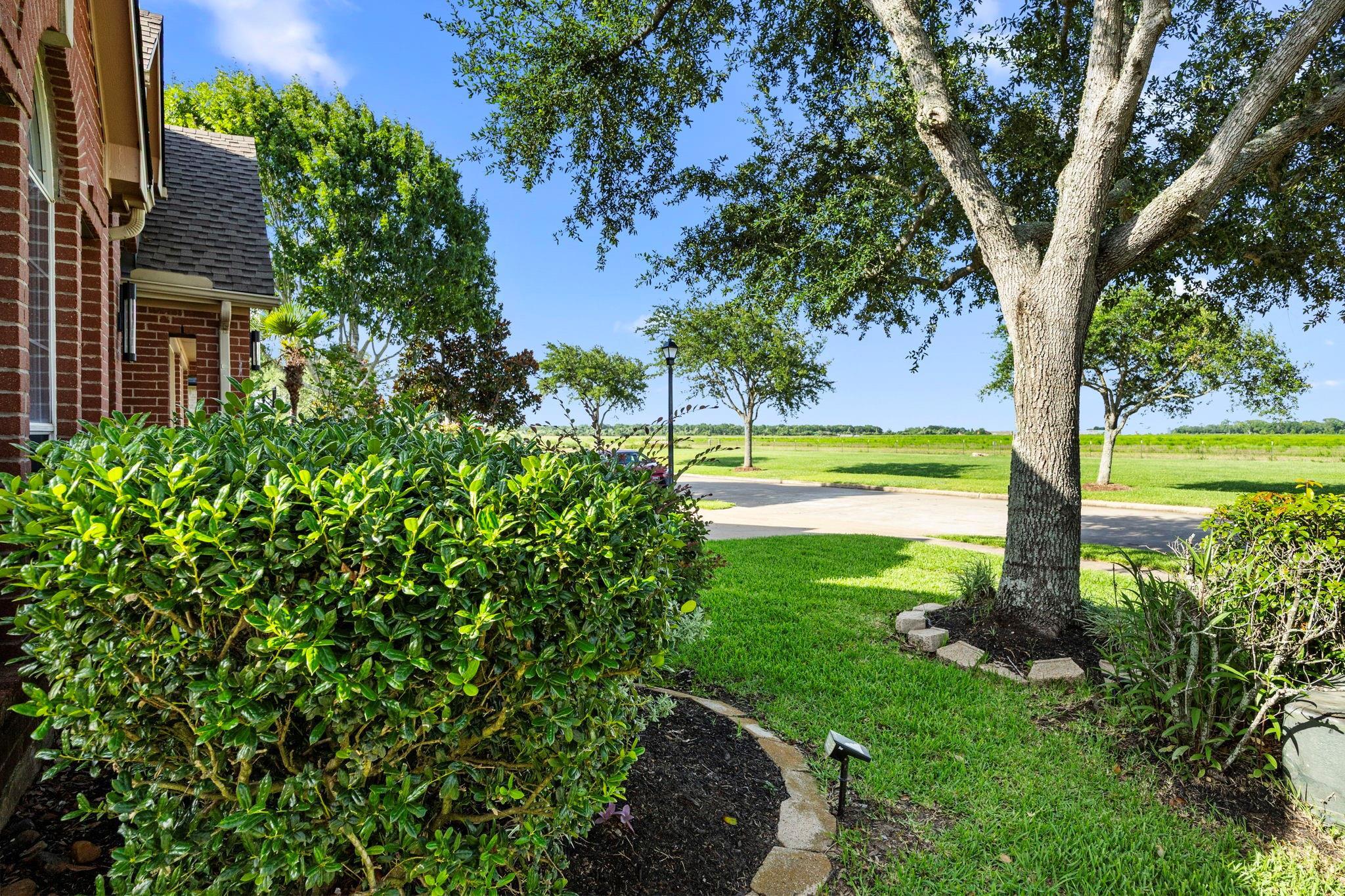 Property Photo: 14214 Ayers Rock Road TX 77498