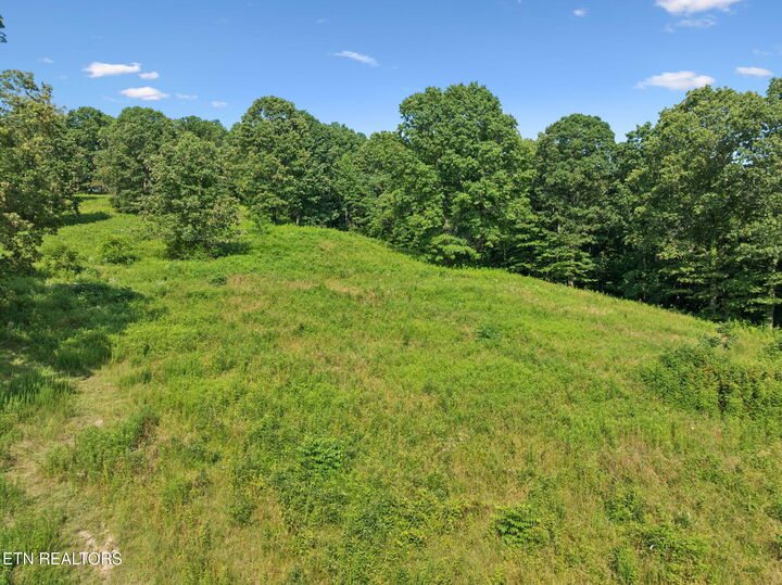 Property Photo:  378 Johnson Hollow Rd  TN 37866 