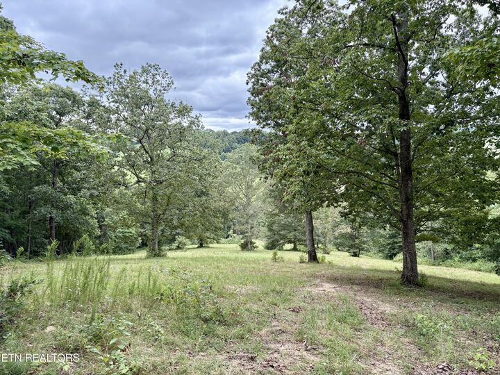 Property Photo: 378 Johnson Hollow Rd TN 37866