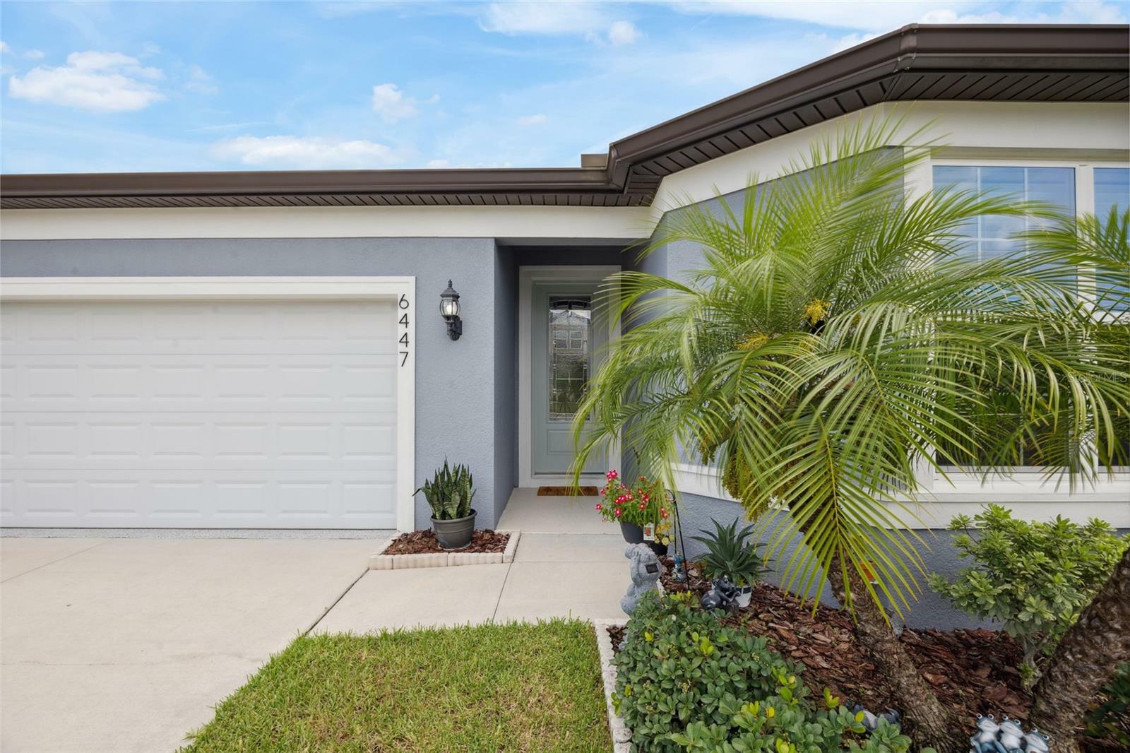 Property Photo: 6447 Bradford Woods Drive FL 33542