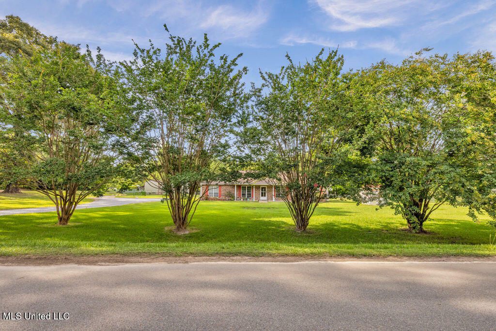 Property Photo: 163 E Inda Road MS 39573