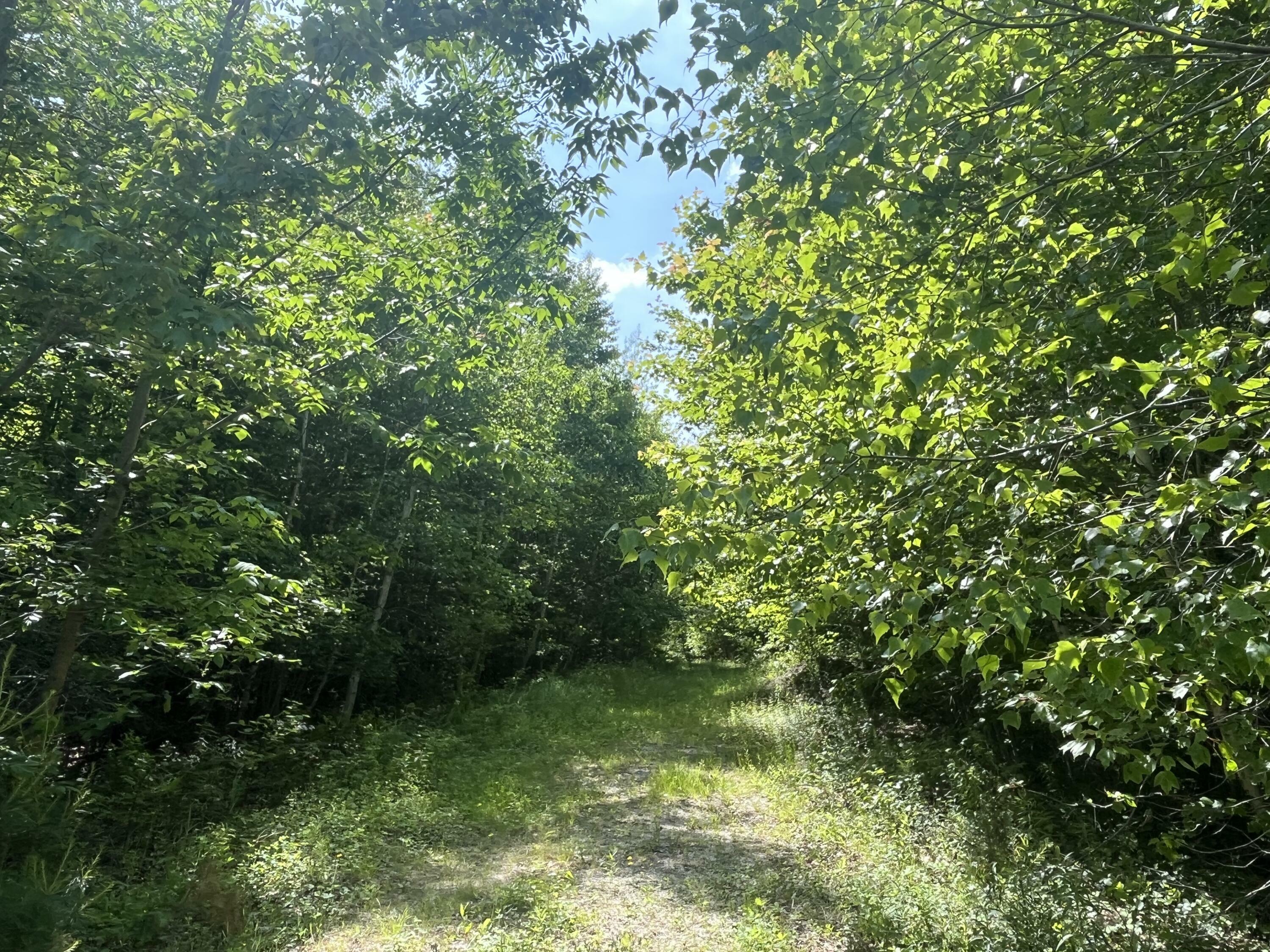 Property Photo: Lot 7 Nicolin Road ME 04605