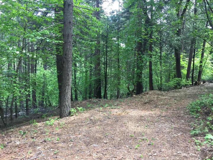 4220 Pegasus Trail  Pollock Pines CA 95726 photo