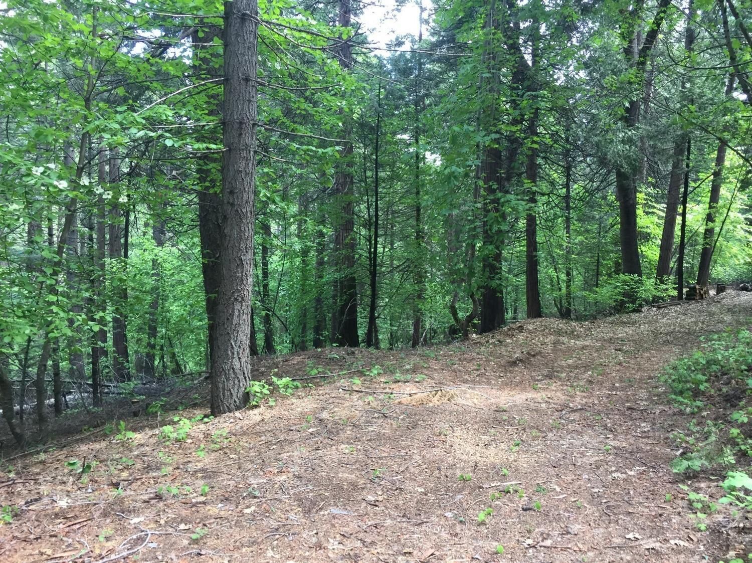 Property Photo: 4220 Pegasus Trail CA 95726