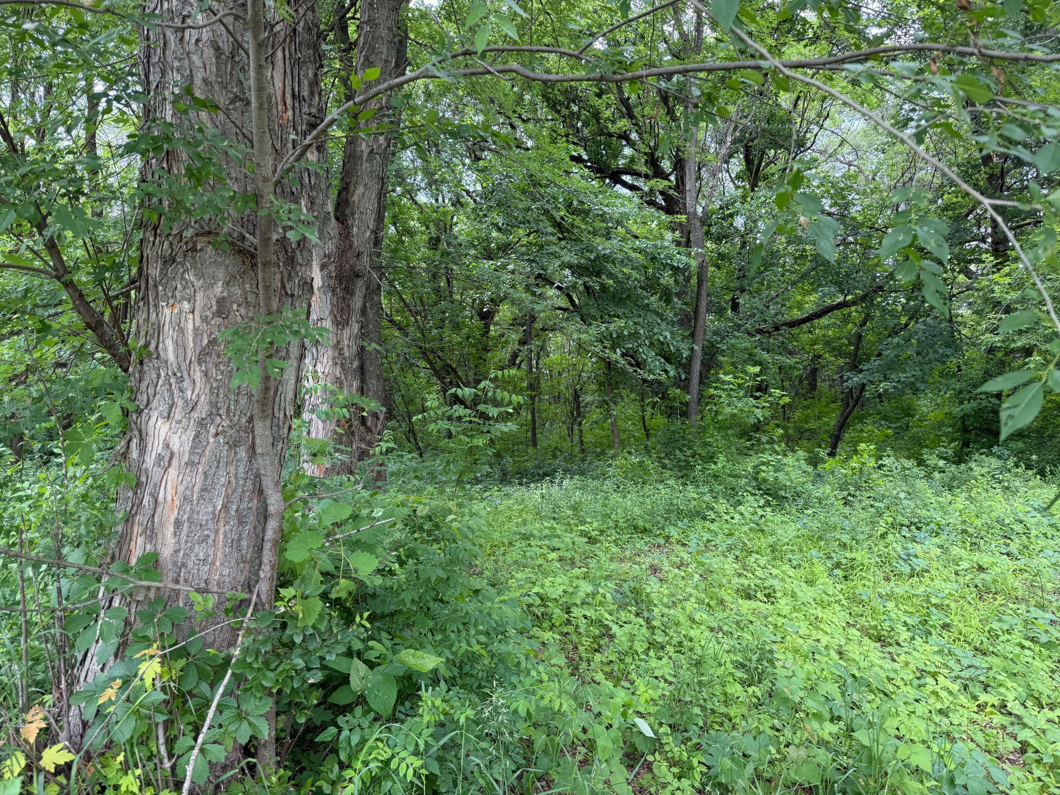 Property Photo: 18320 Rum River Boulevard NW MN 55303