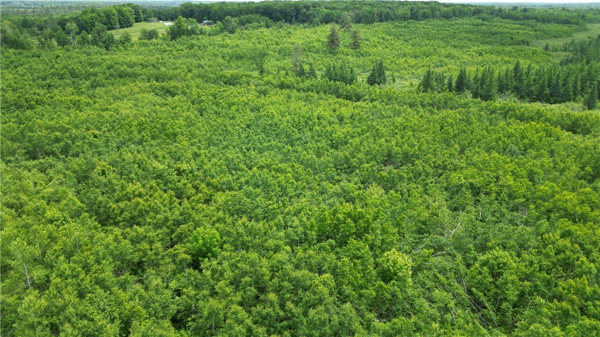 Property Photo: 80 Acres Off Of Hwy 40 WI 54867
