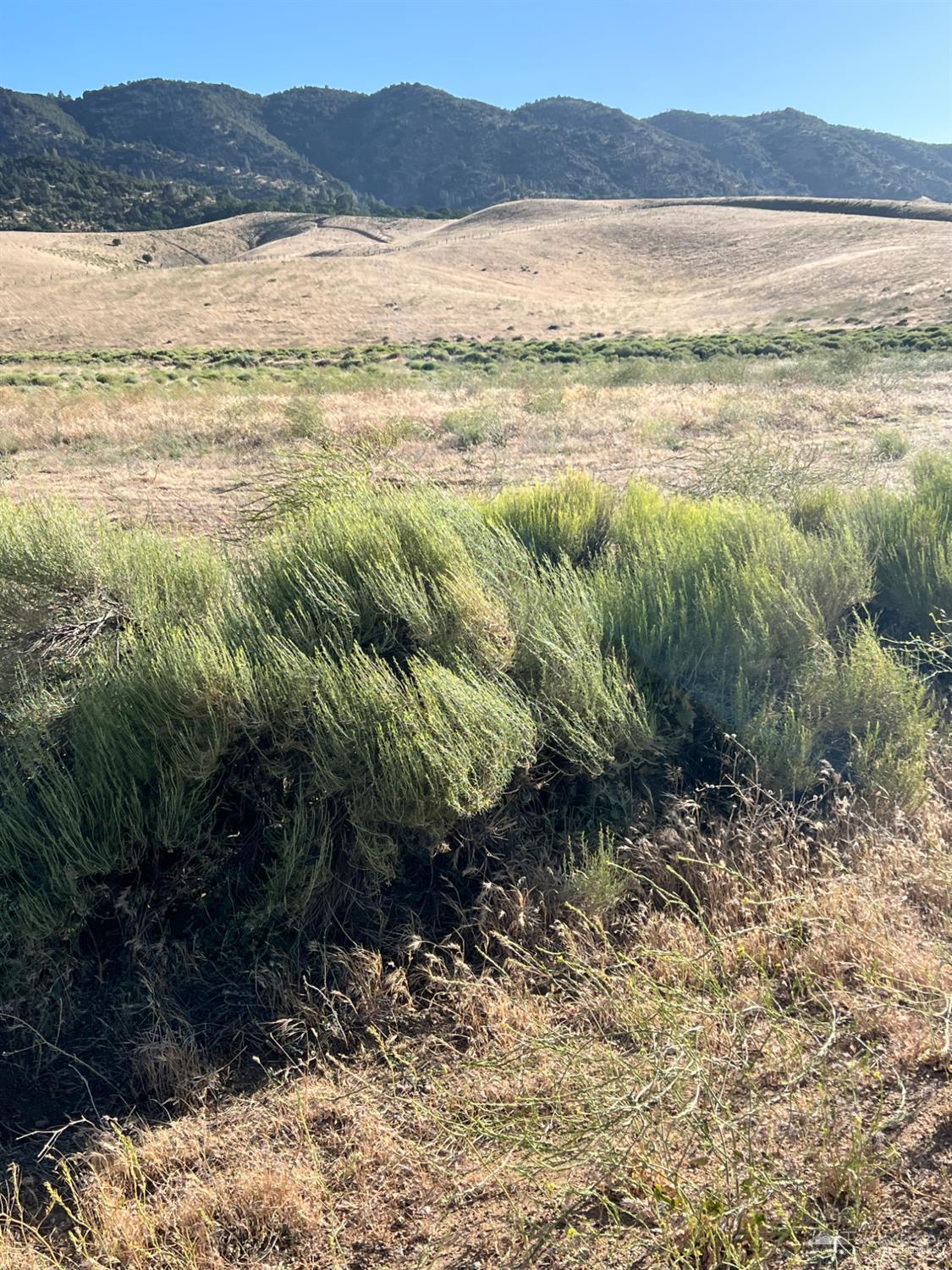 0 Dugan Drive  Tehachapi CA 93561 photo