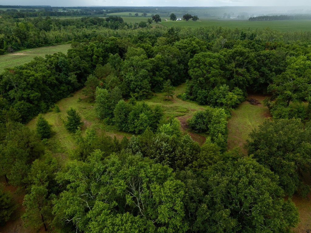 Property Photo: 2385 Hickory Head Road GA 31643