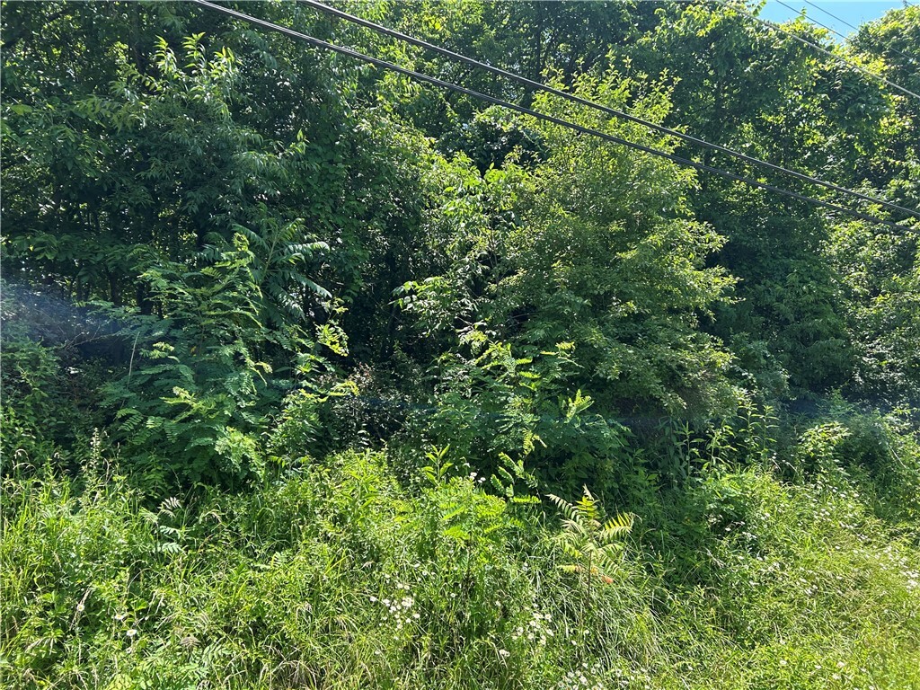Property Photo:  Lot 10 Hickory Rd  PA 15425 