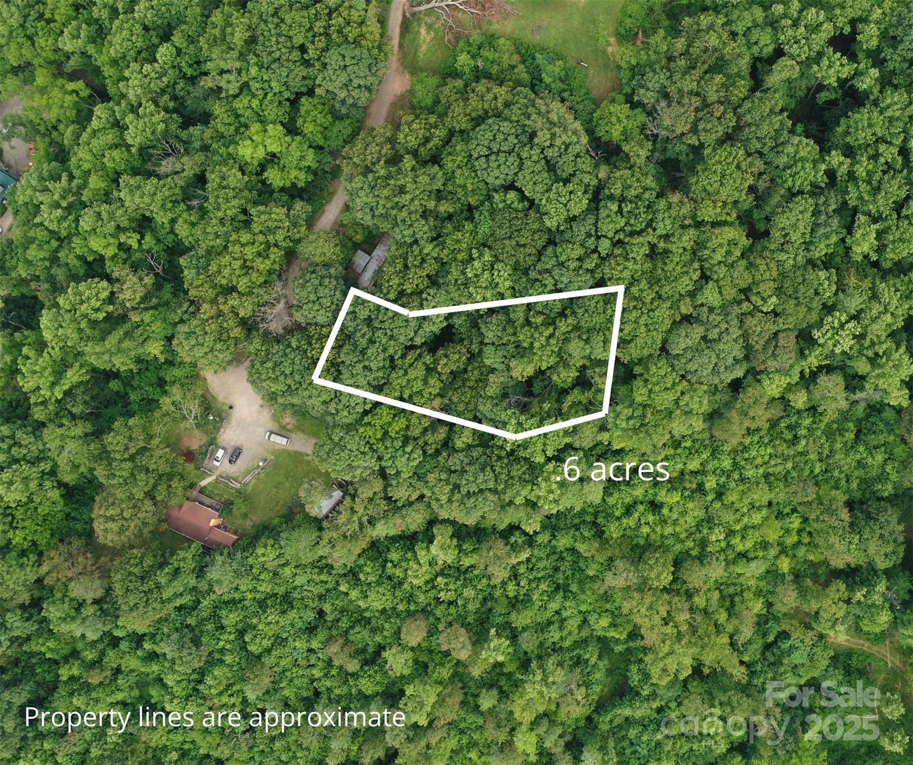 Property Photo: 72 Pounders Drive NC 28804