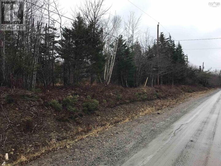 Lot, Belleville Road — photo 1