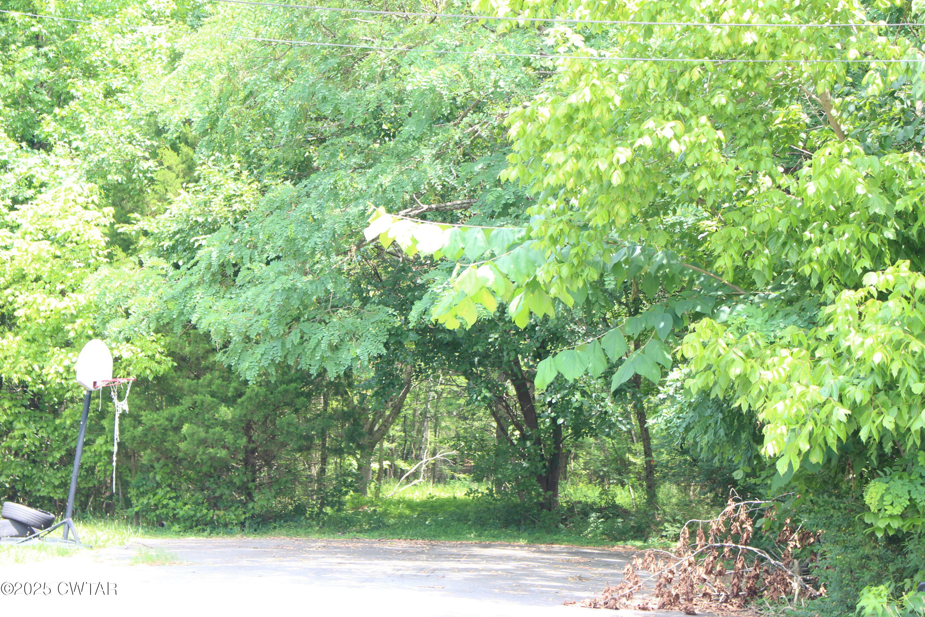 Property Photo: 0 Hillary Drive TN 38305