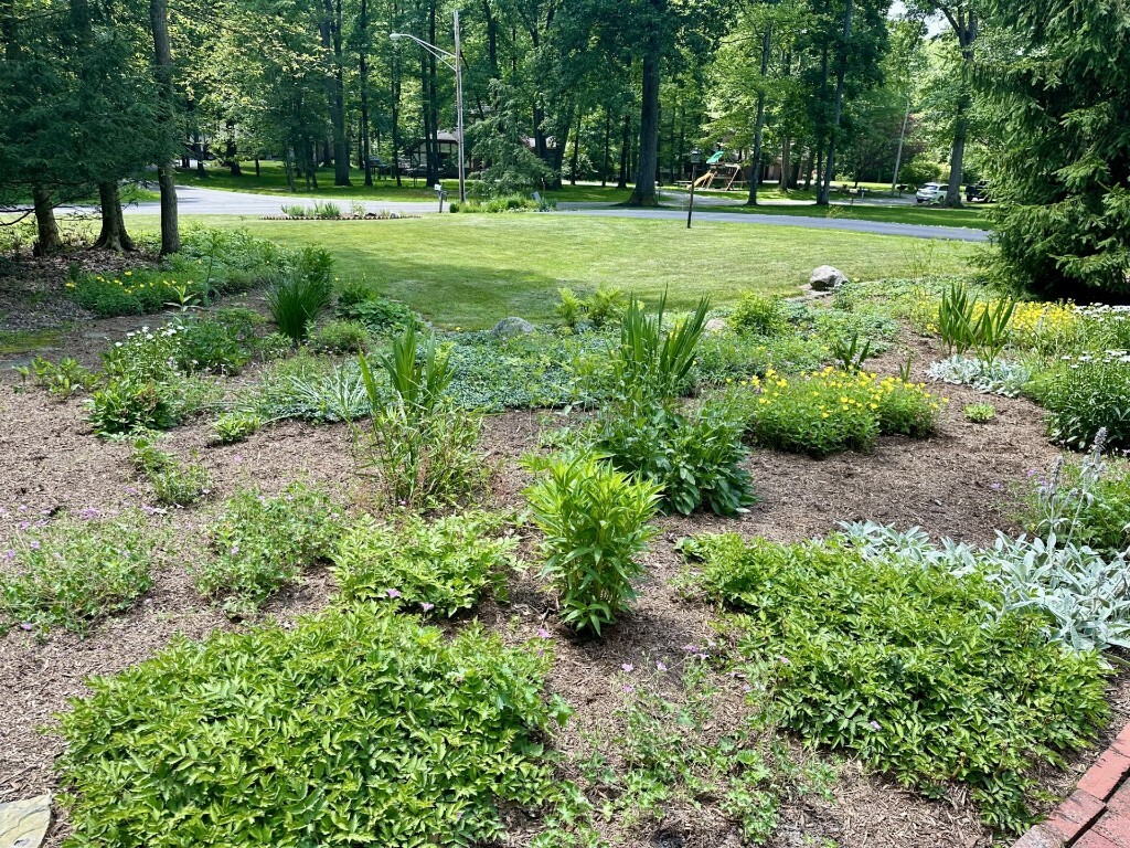 Property Photo: 99 N Forest Avenue PA 16335