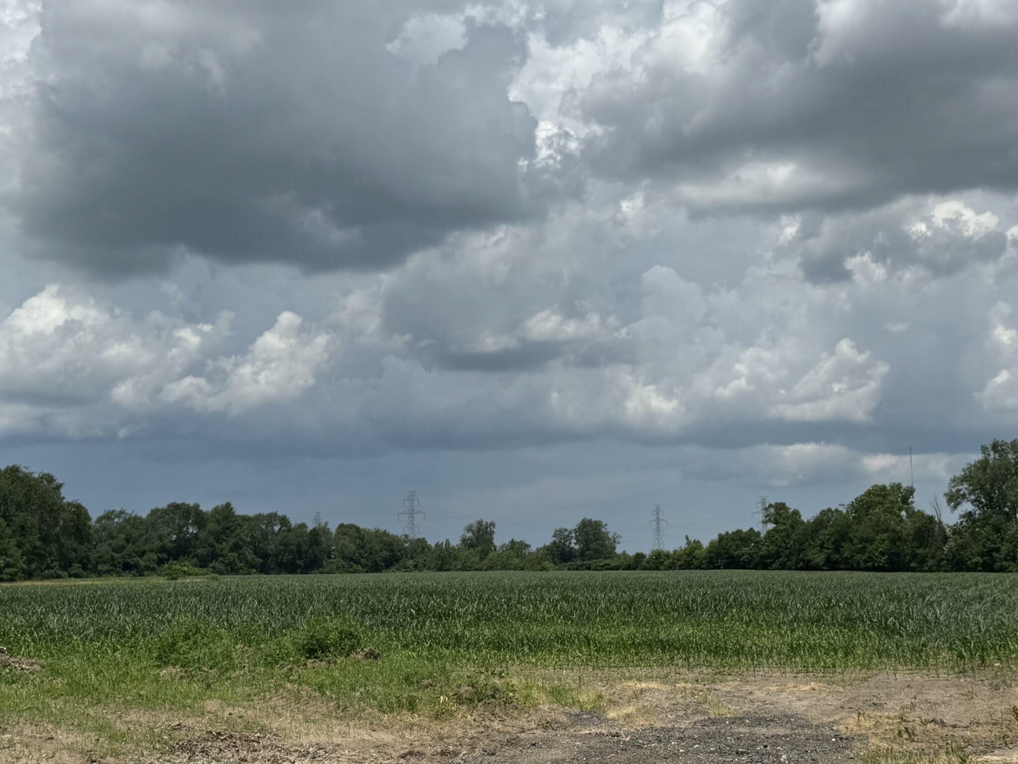 Property Photo: 31890 Edison Road IN 46552