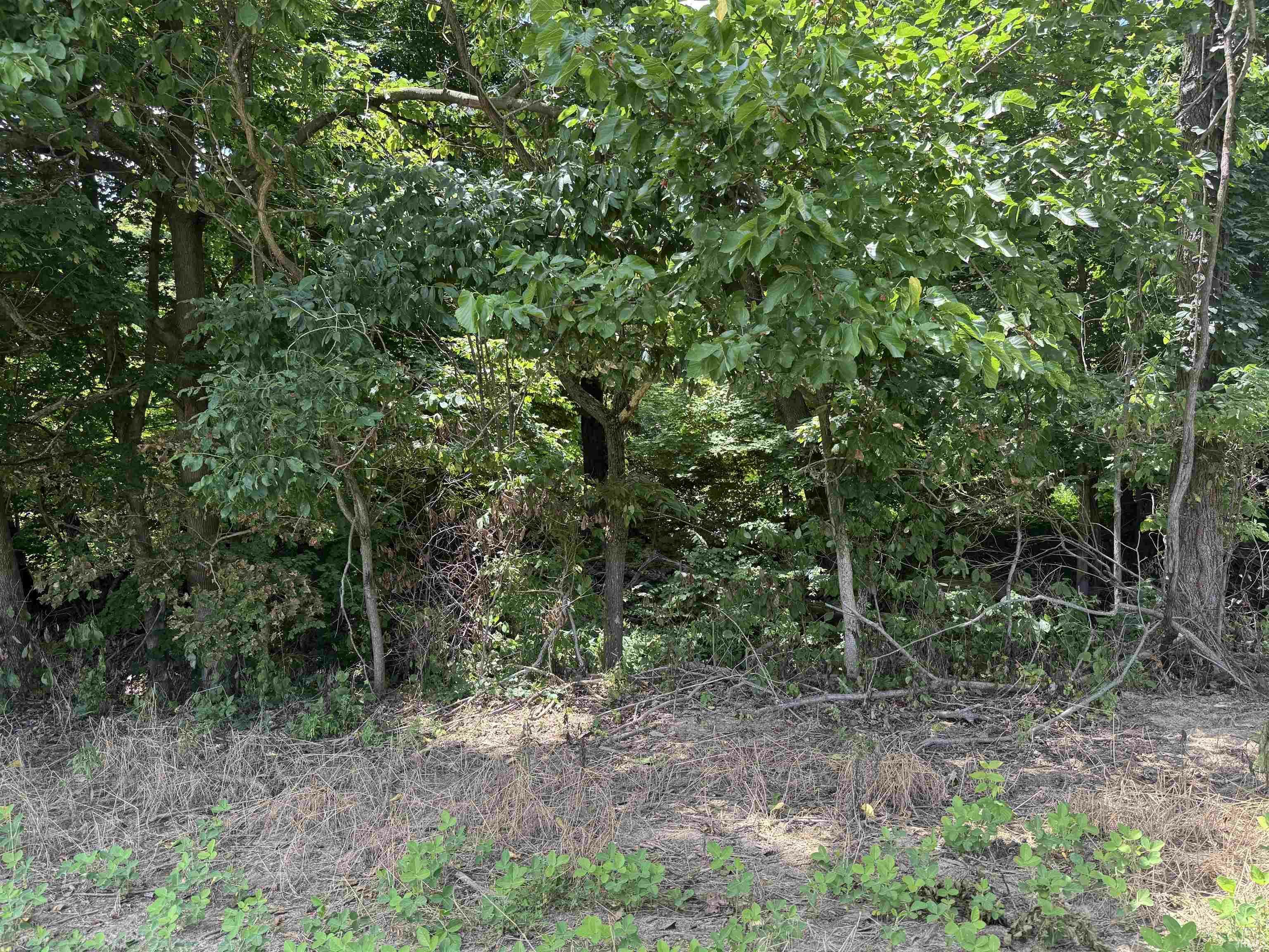 Property Photo:  150 N/ 825 W  IN 47640 