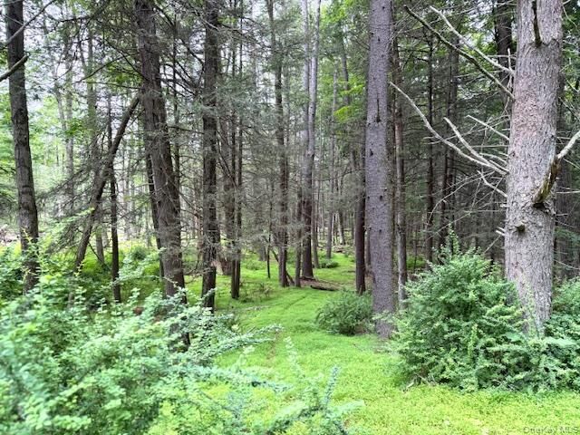 Property Photo:  131 Old Plank Road  NY 12780 