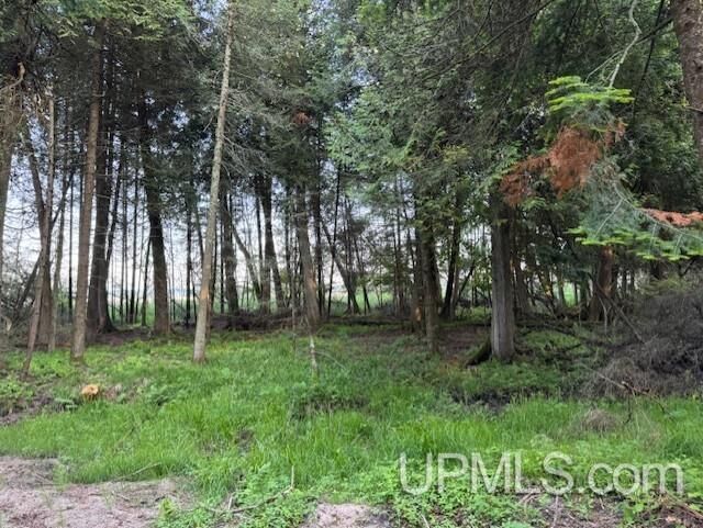 Property Photo:  Tbd Juniper Aa Lane  MI 49878 