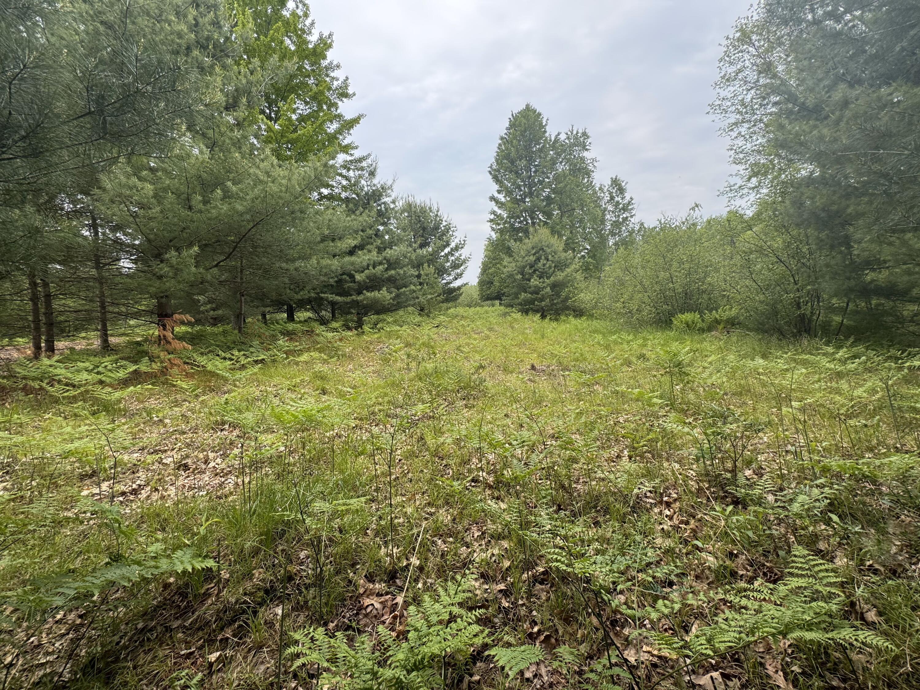 Property Photo: 6336 Cedar Trace MI 49346