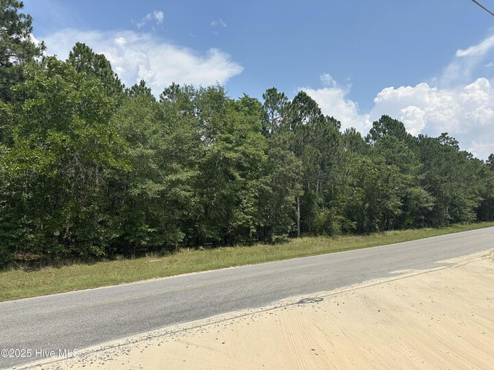 Property Photo:  718 Green Lake Road  NC 28338 