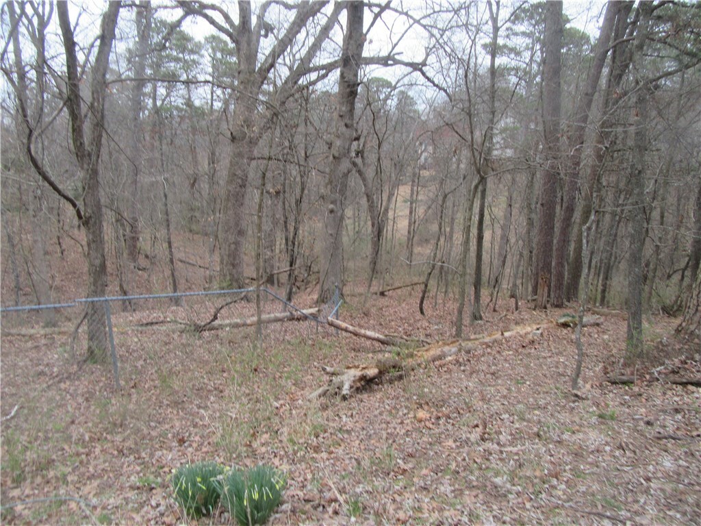 Property Photo:  Paxos Street  AR 72632 
