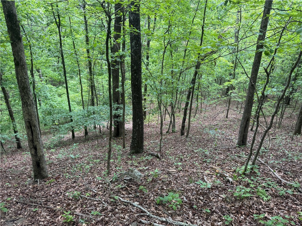 Property Photo:  Tract 1 Nc 7540  AR 72854 