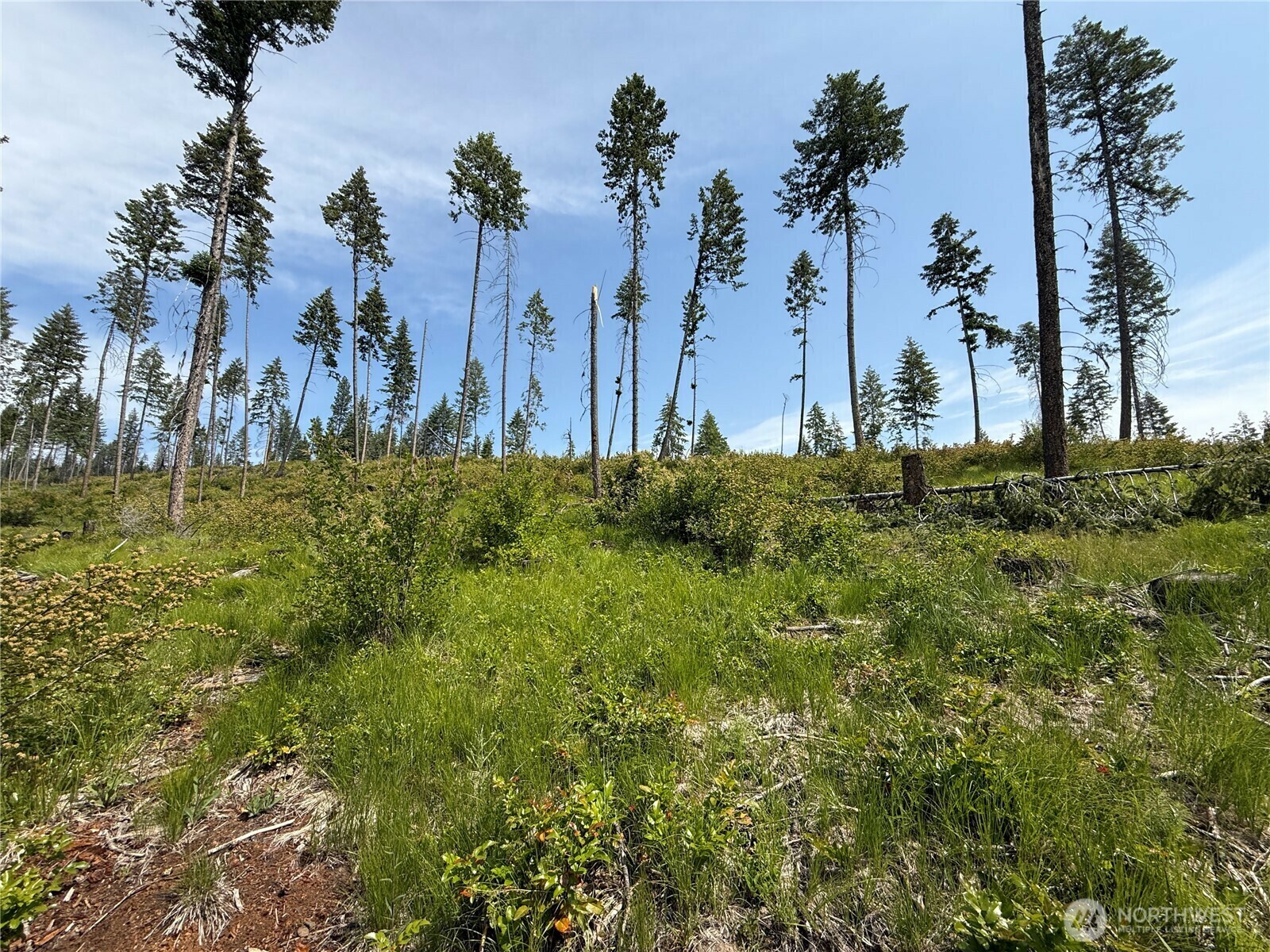 Property Photo: 0 Rockabye Lane WA 99118