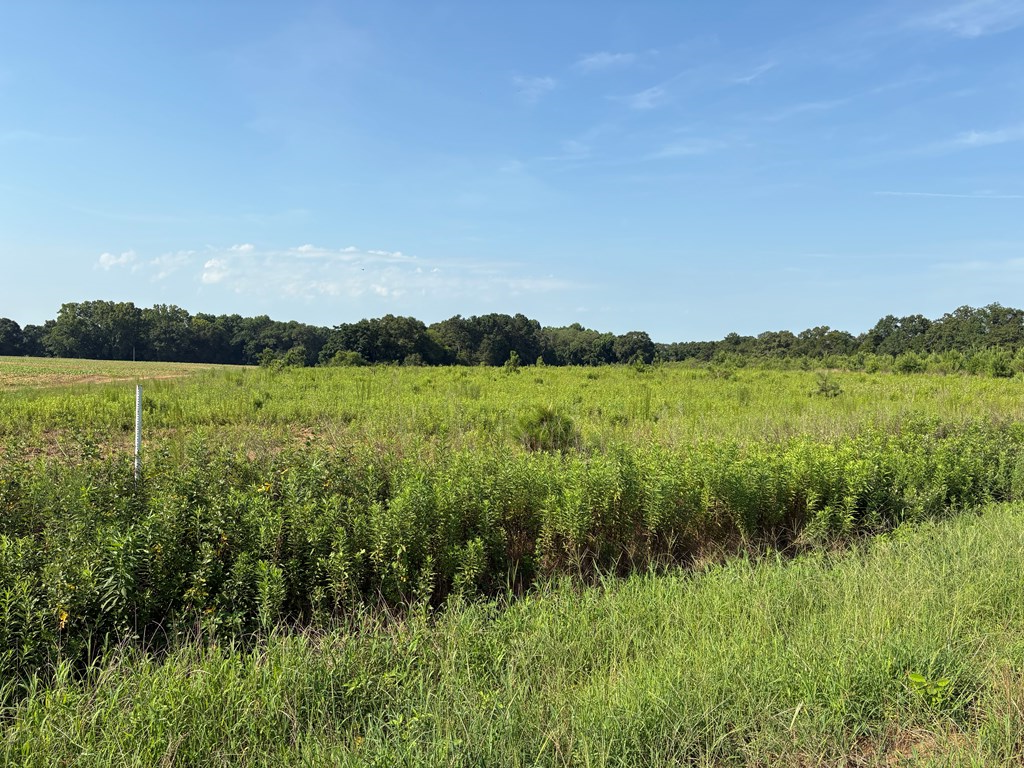Property Photo: 0 Judge Logue Road AL 36352
